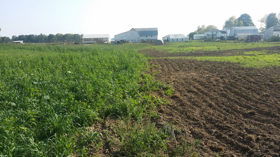 farm-landscape